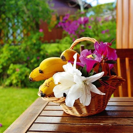 Holiday Homes Quinta Dos Curubas, Vila Franca Do Campo, Sao Miguel, Azores Εξωτερικό φωτογραφία