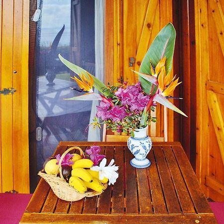 Holiday Homes Quinta Dos Curubas, Vila Franca Do Campo, Sao Miguel, Azores Εξωτερικό φωτογραφία