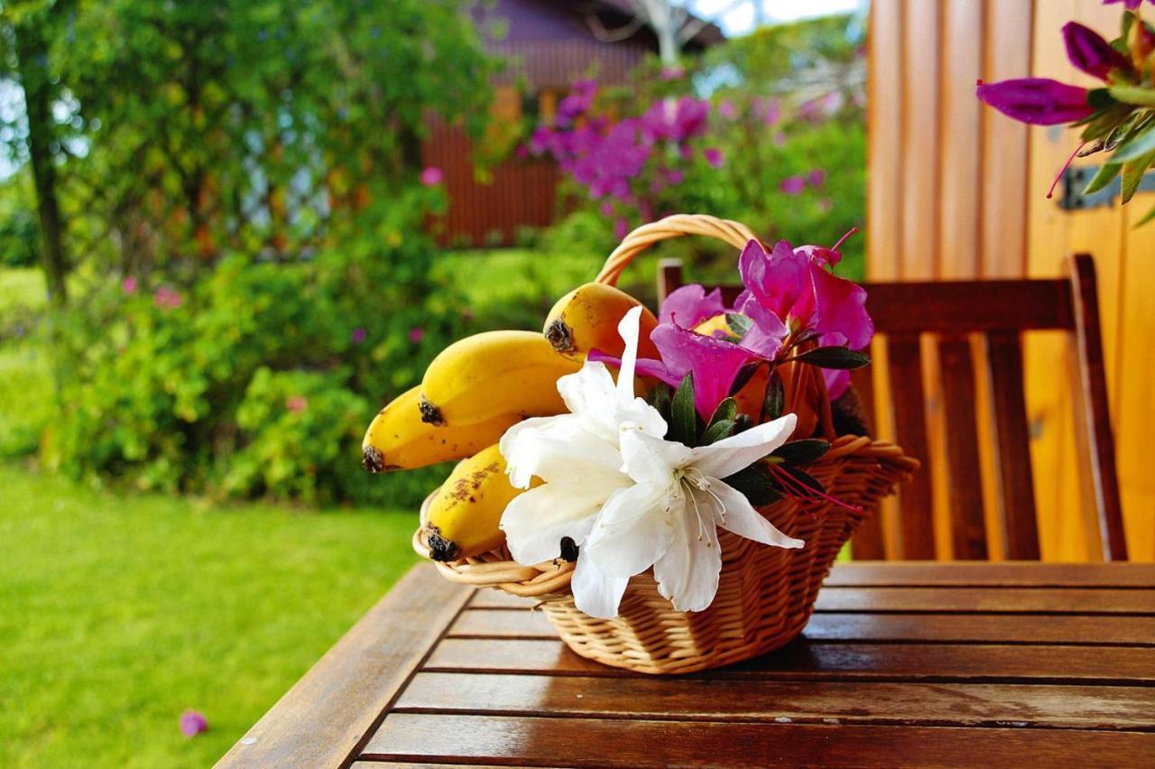 Holiday Homes Quinta Dos Curubas, Vila Franca Do Campo, Sao Miguel, Azores Εξωτερικό φωτογραφία