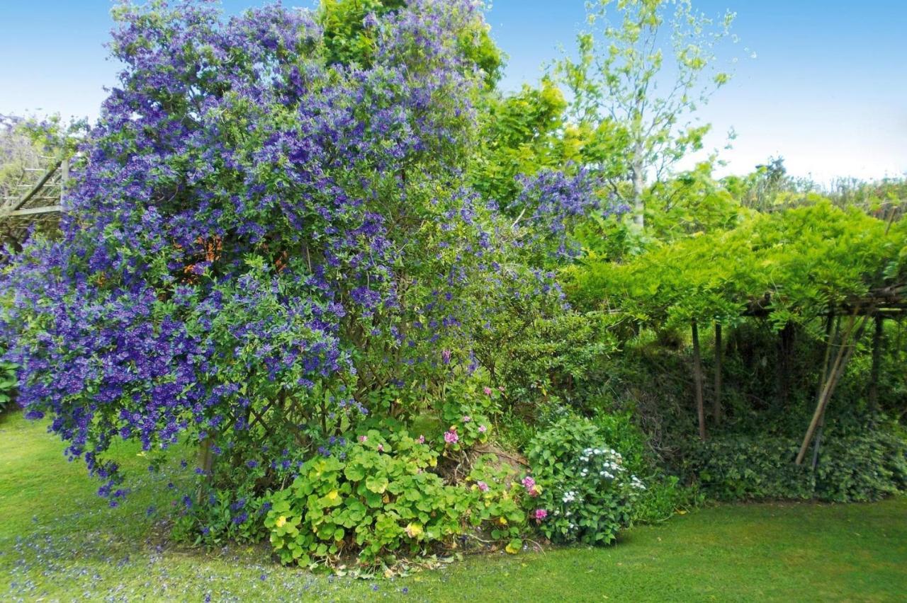 Holiday Homes Quinta Dos Curubas, Vila Franca Do Campo, Sao Miguel, Azores Εξωτερικό φωτογραφία