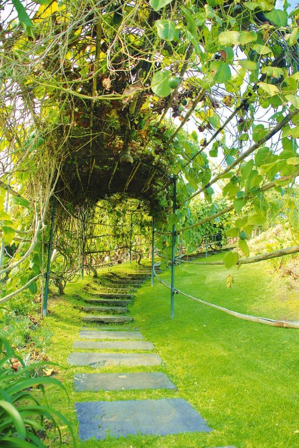 Holiday Homes Quinta Dos Curubas, Vila Franca Do Campo, Sao Miguel, Azores Εξωτερικό φωτογραφία